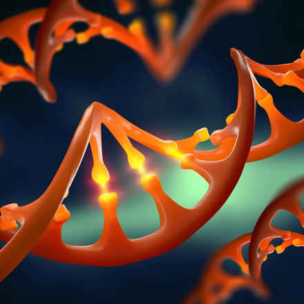 DNA strands
