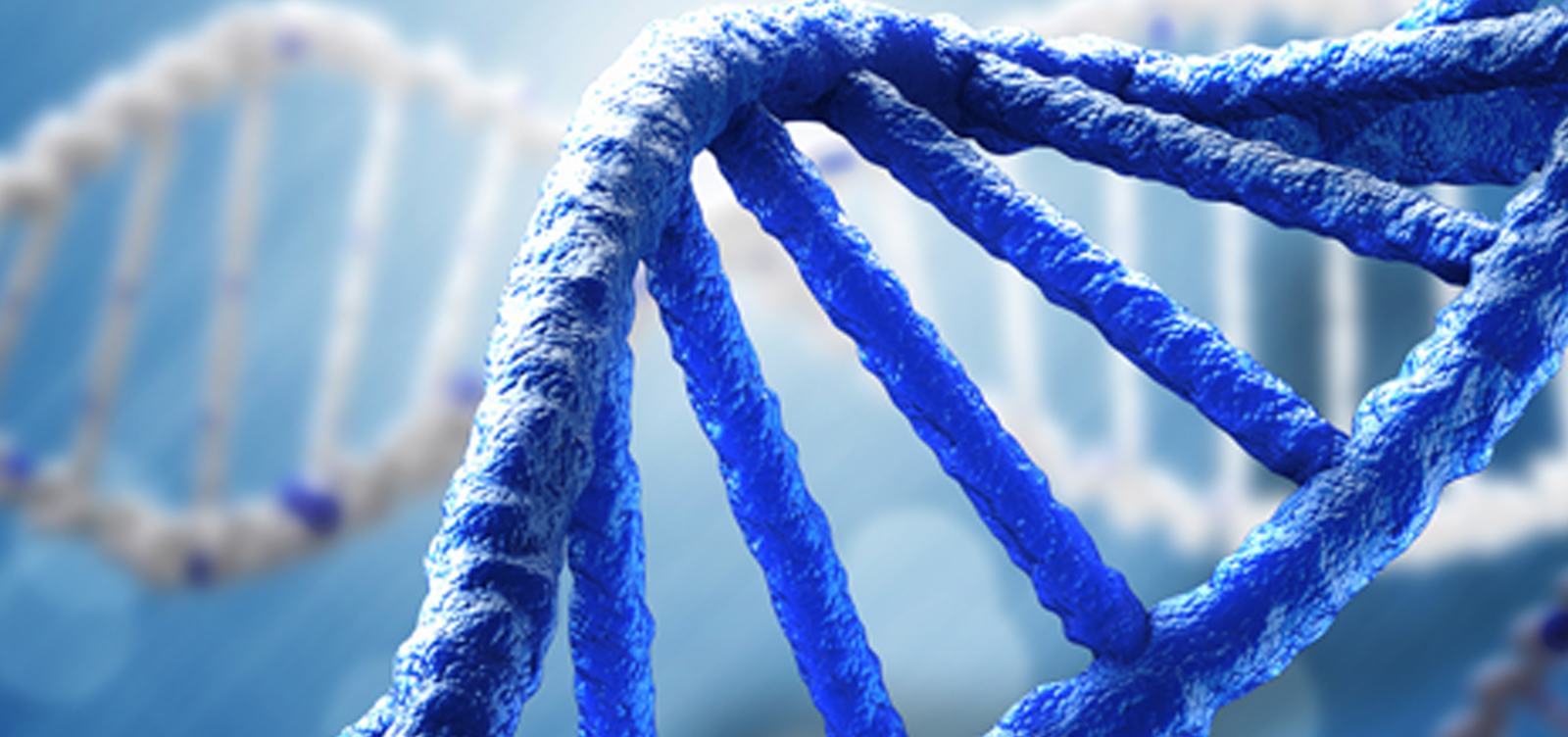Gene double helix